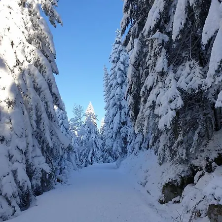 Sur Les Hauteurs De Avec Superbe Vue Apartment
