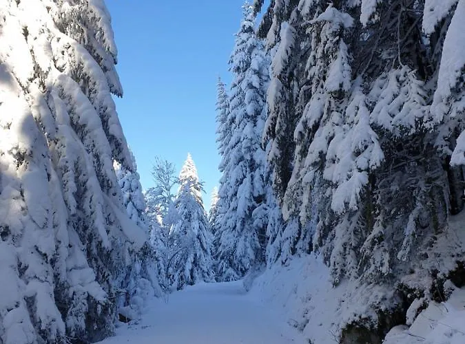Sur Les Hauteurs De Avec Superbe Vue 公寓